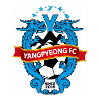 杨平 杨平
