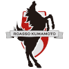 熊本深红 熊本深红